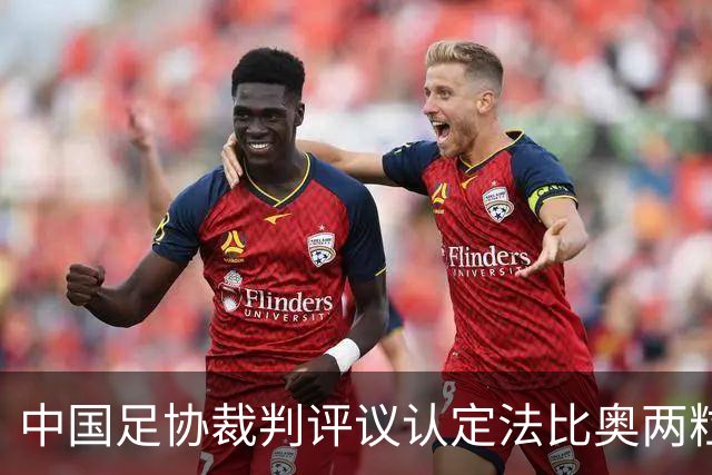 中国足协裁判评议认定法比奥两粒进球均为好球